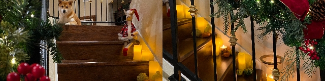 Creating a Stair Skirt Template 2024-stairs-skirt-board-template.jpg